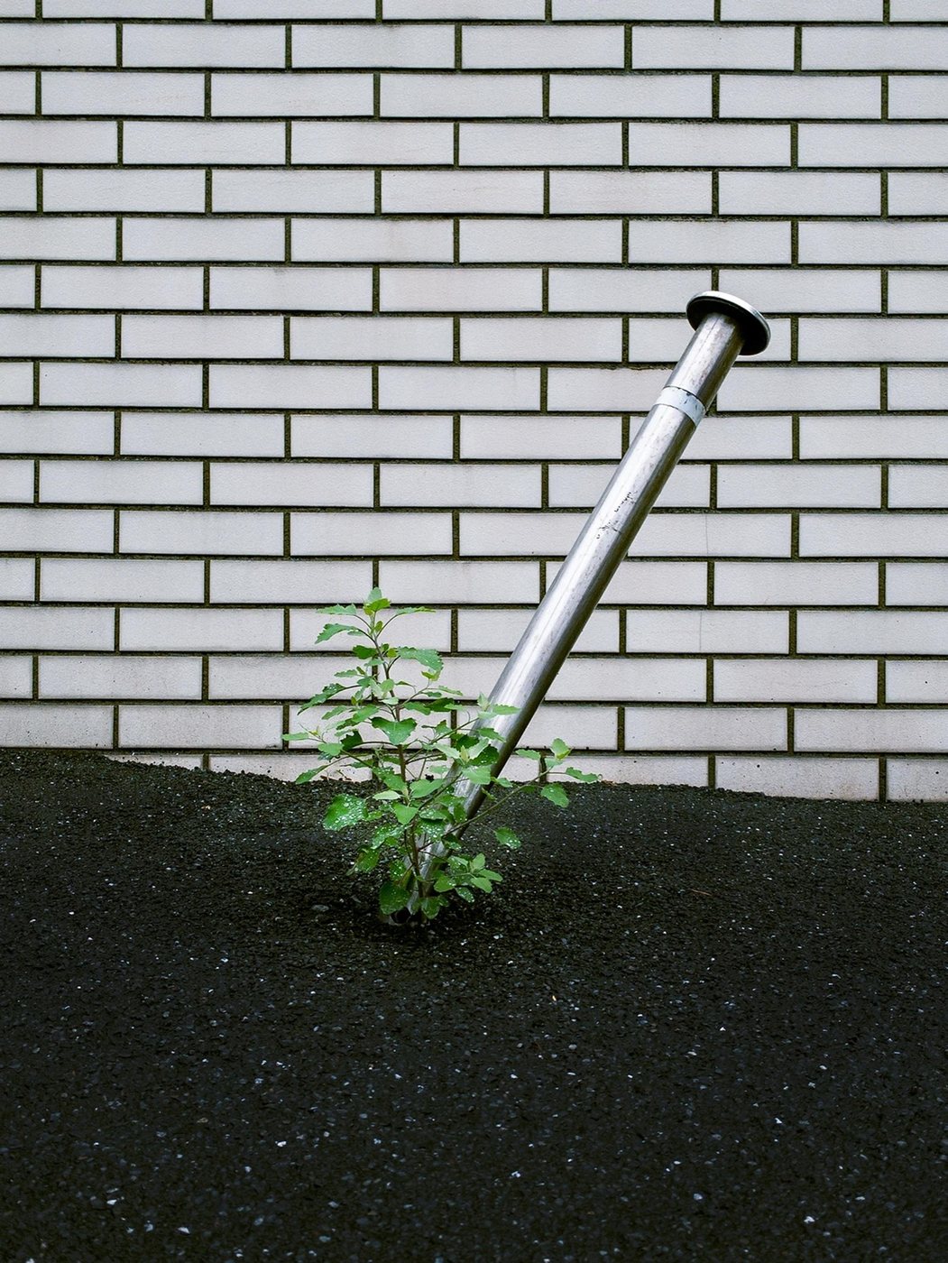 見えることでしか伝えられないものを写したSTUDIOFENCEの写真作品
